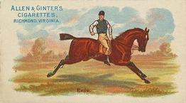 1888 Allen & Ginter World's Racers (N32) #NNO Exile Front